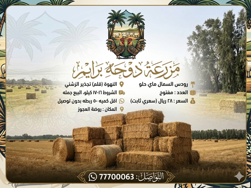 ( وتساب فقط ) رودس الشمال ماي حلو - 1