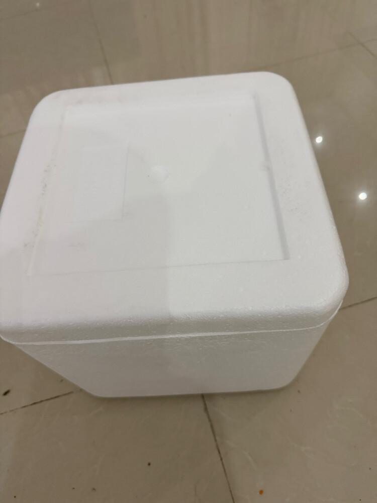 Styrofoam Coolers - 1