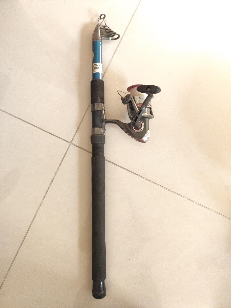 fishing rod - 1