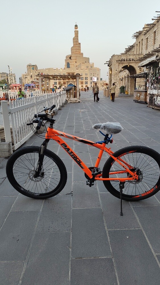 Bicycle for Adults / Lightweights - 1