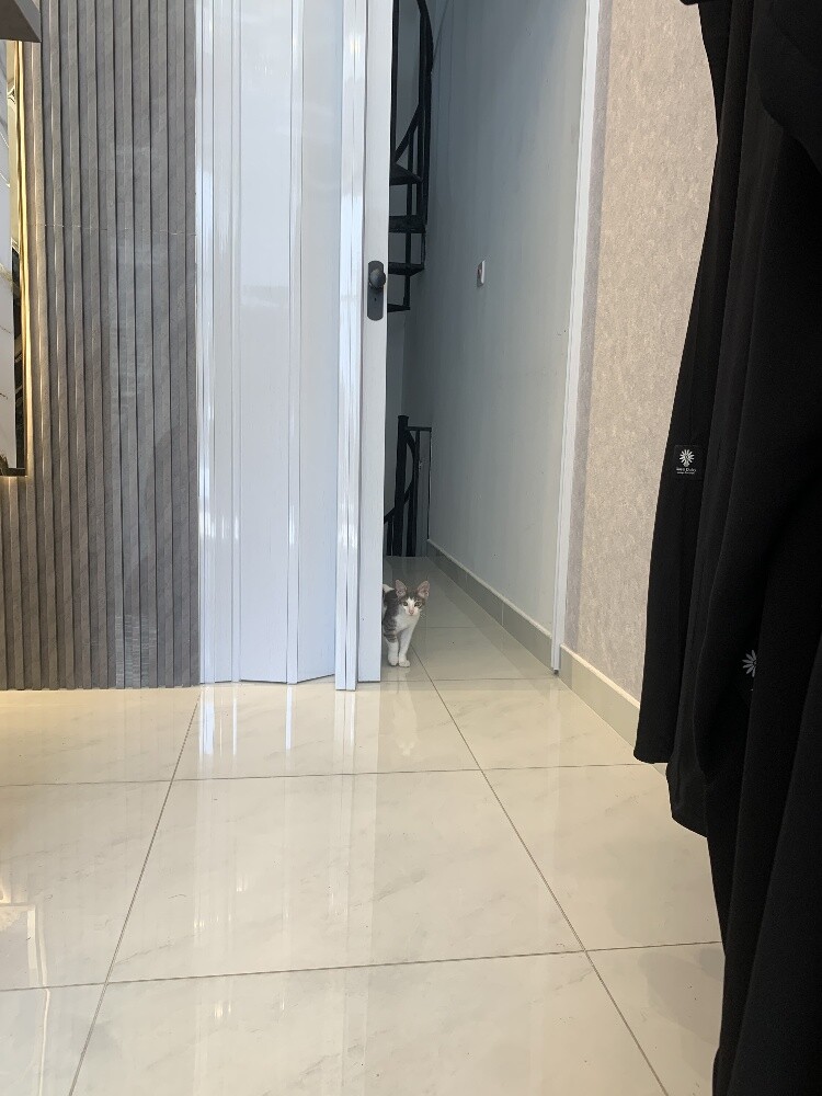 باب الأكورديون باللون الأبيض - 1