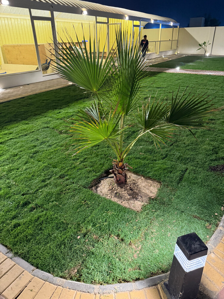 مزراع - 4