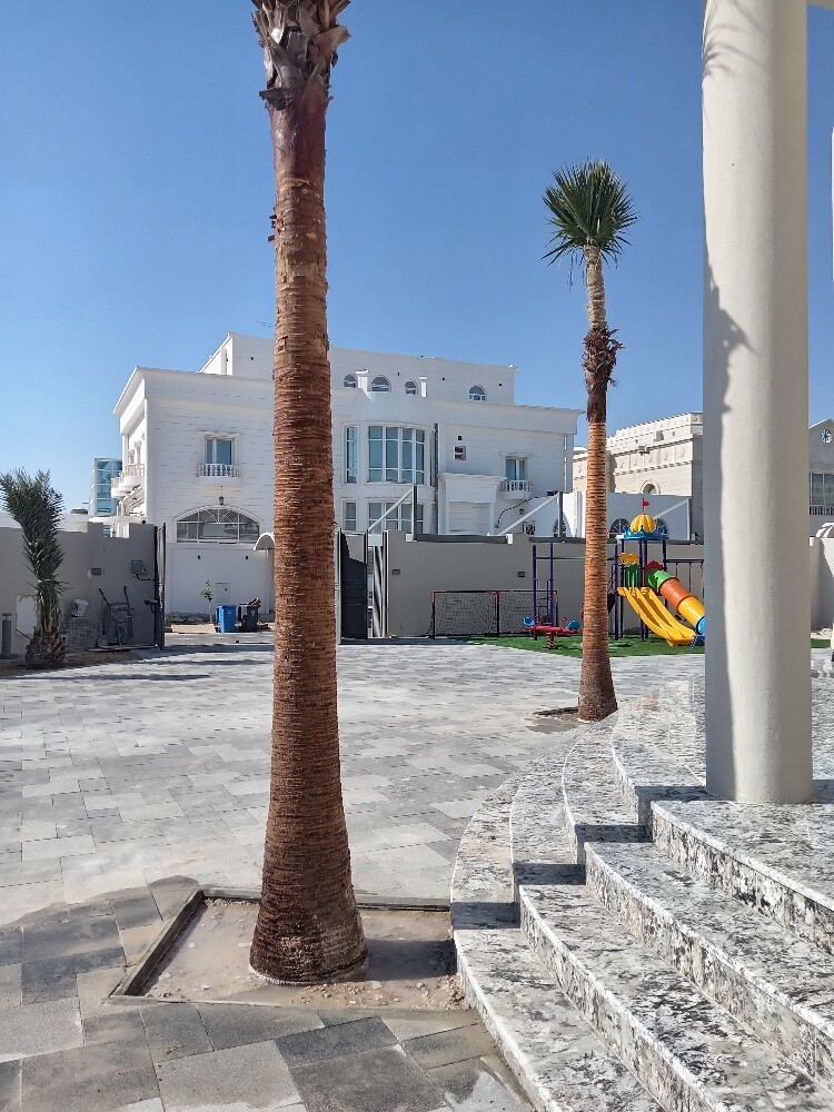 الوشنطنيه - 3