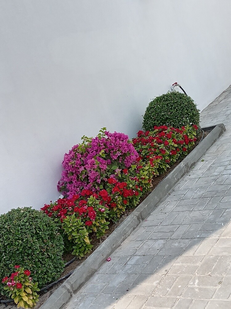 عمل زراعه - 1