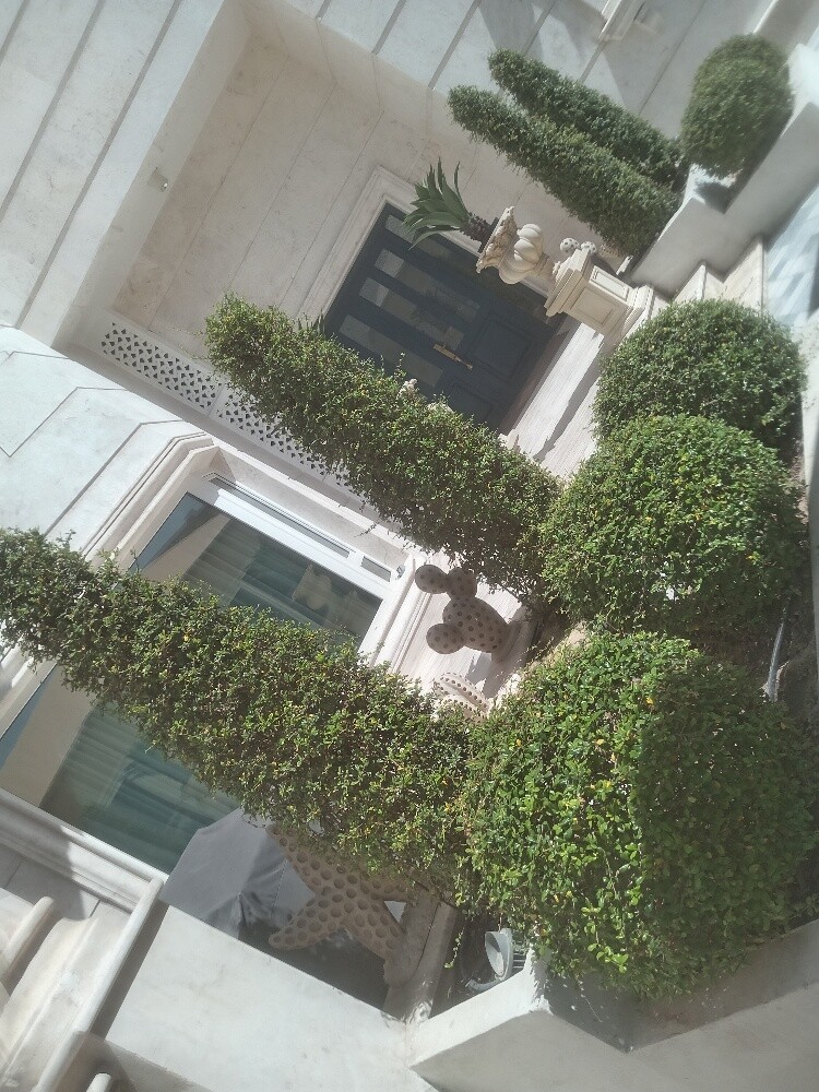 زراعه وديكور - 1
