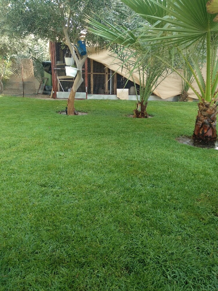 عمل ديكور - 1