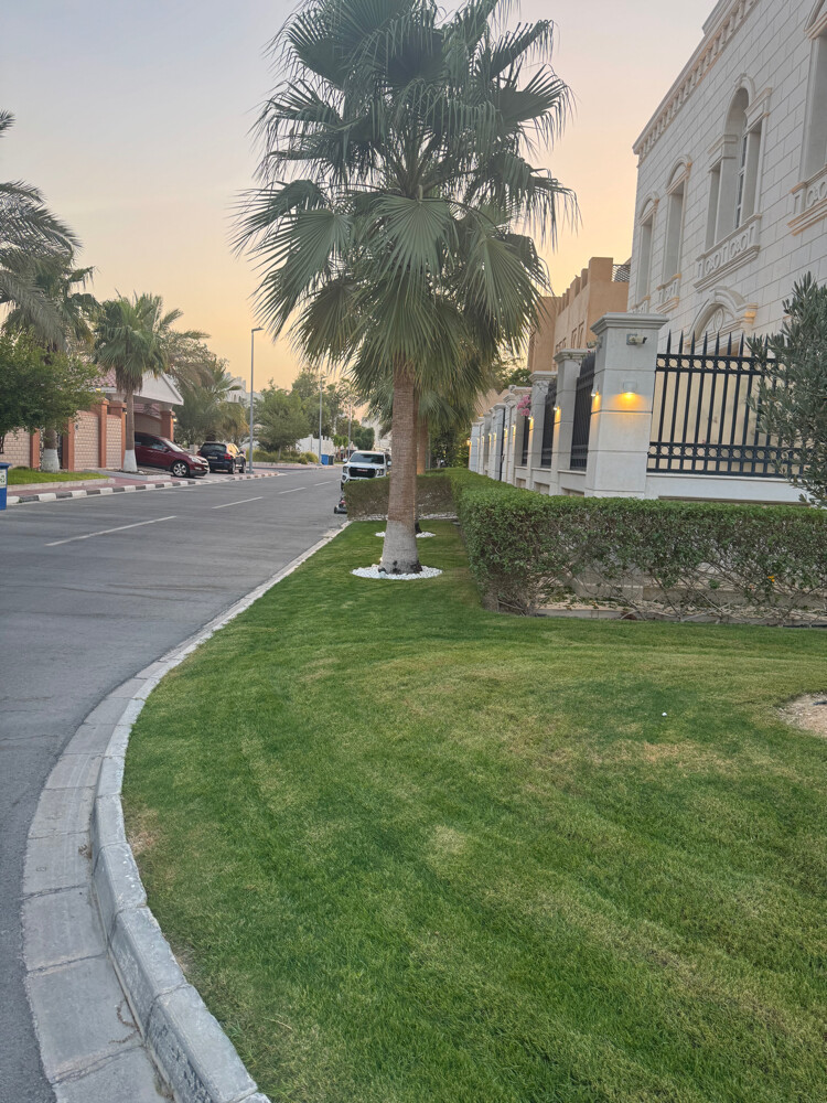 هاوس جاردن  - 2