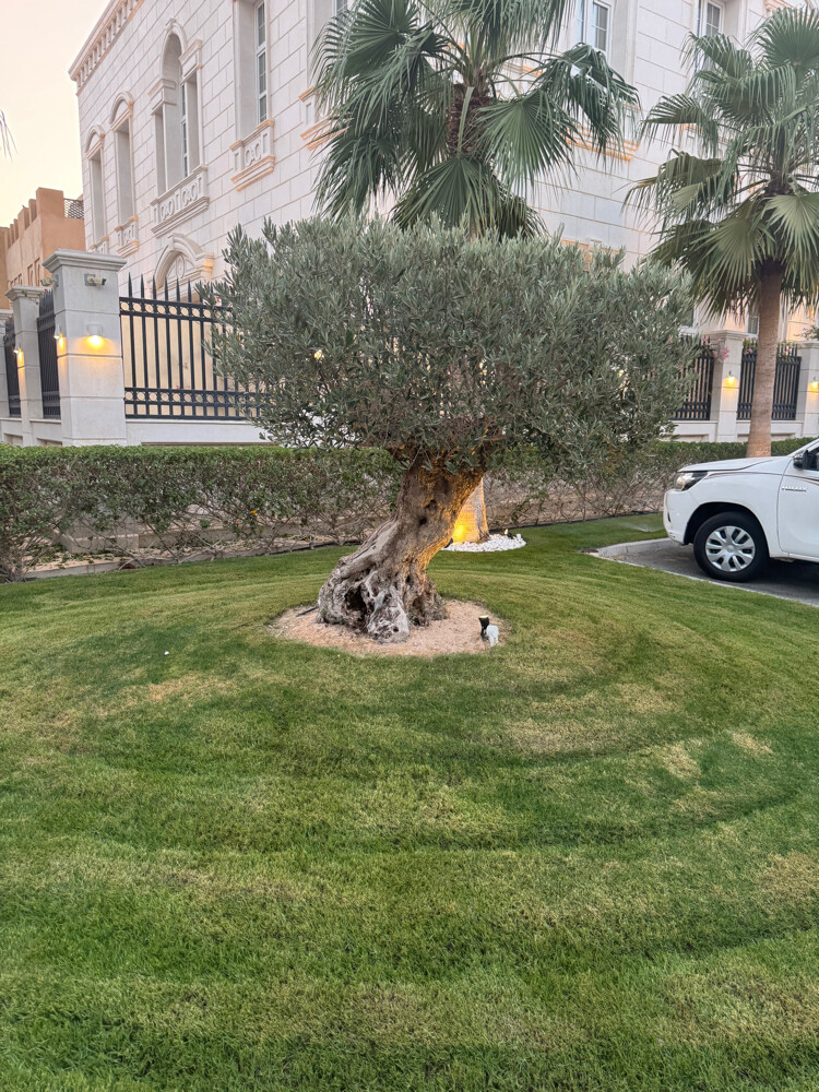 هاوس جاردن  - 1