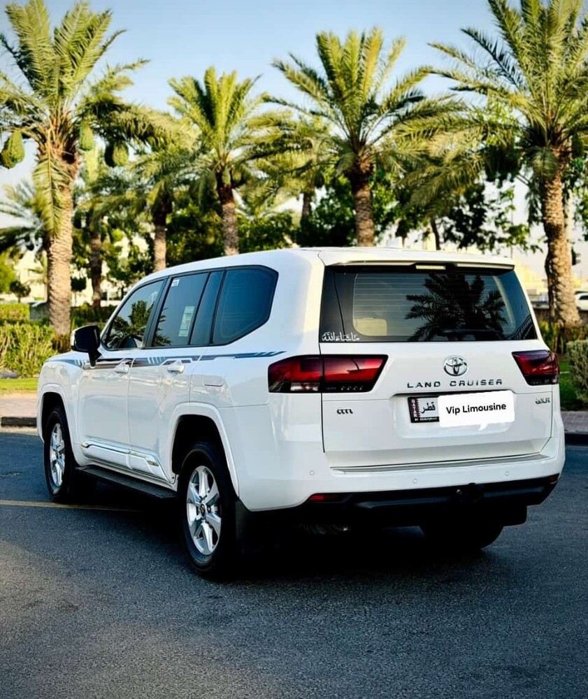 vip Limousine model2025 - 3