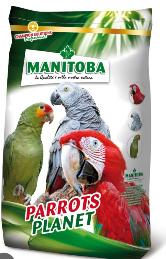 4KG DRAM FRUIT MANITOBA - 12