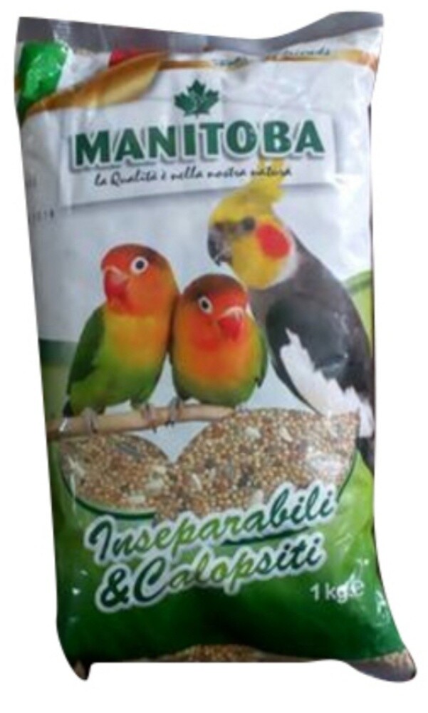 4KG DRAM FRUIT MANITOBA - 6
