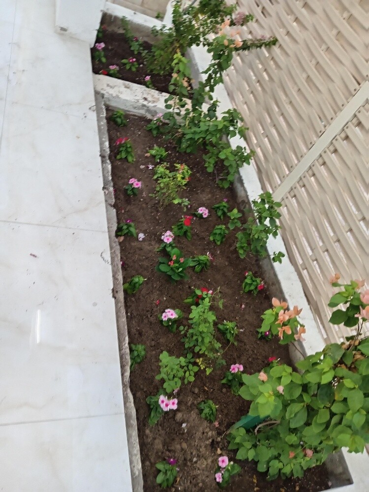 عمل زراعه - 2