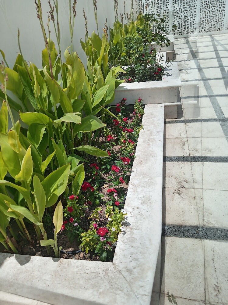 زراعه وديكور - 1