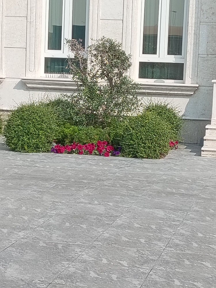 عمل زراعه - 1