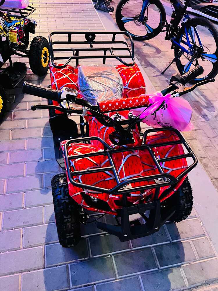 Electric Scooter - 1