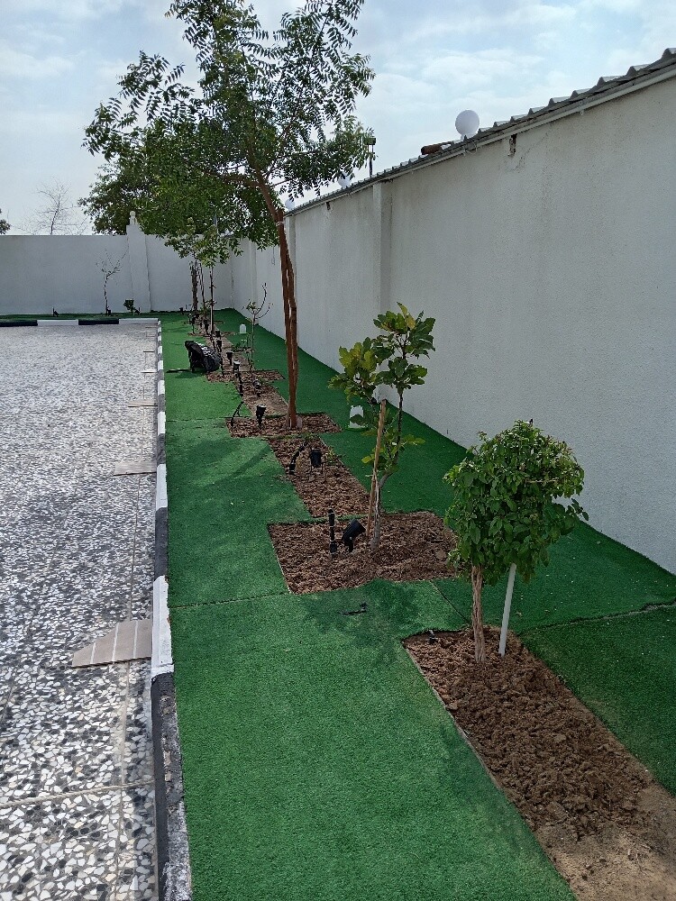 زراعه وديكور - 1