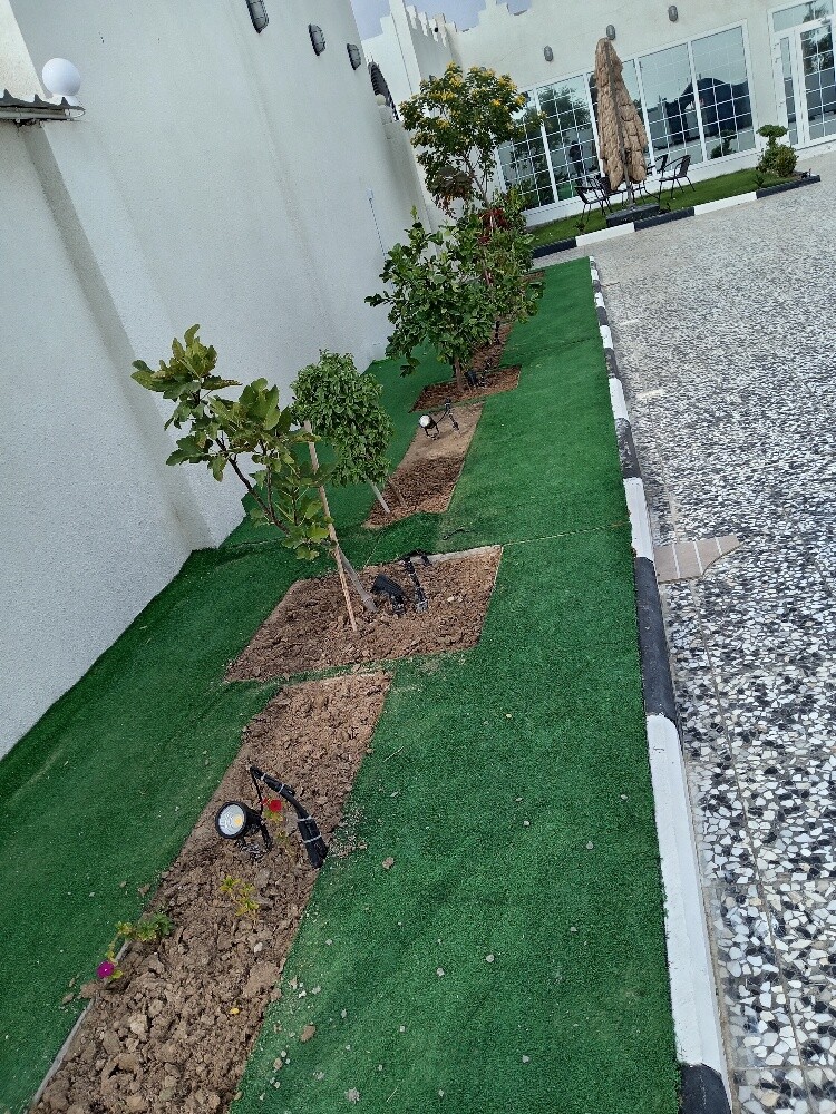 زراعه وديكور - 2