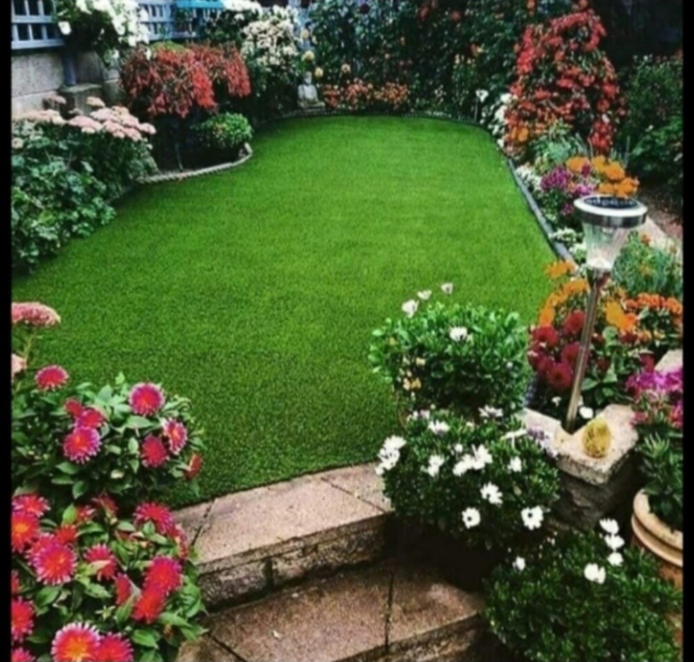 العنايه باالحدائق - 4