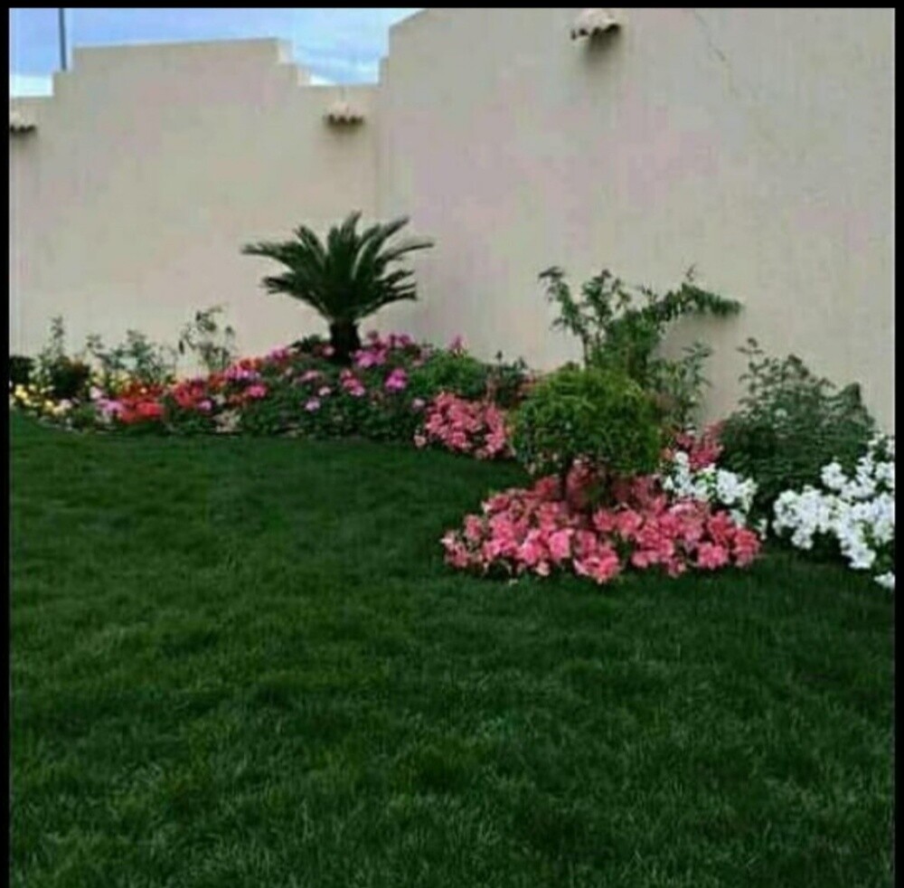 العنايه باالحدائق - 5