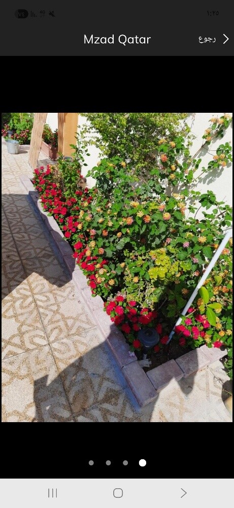 العنايه باالحدائق - 7