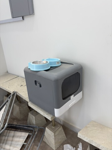 litter box and feeding for kitty - 1