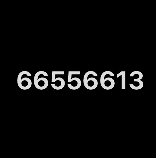 66556613 - 1