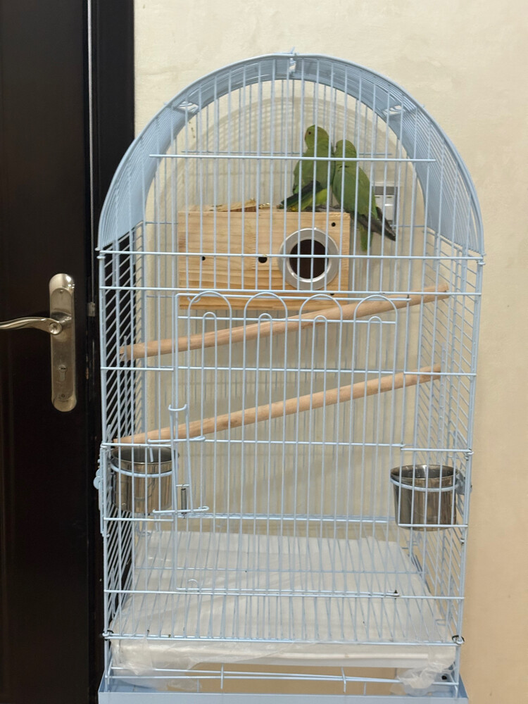 بيع - 2