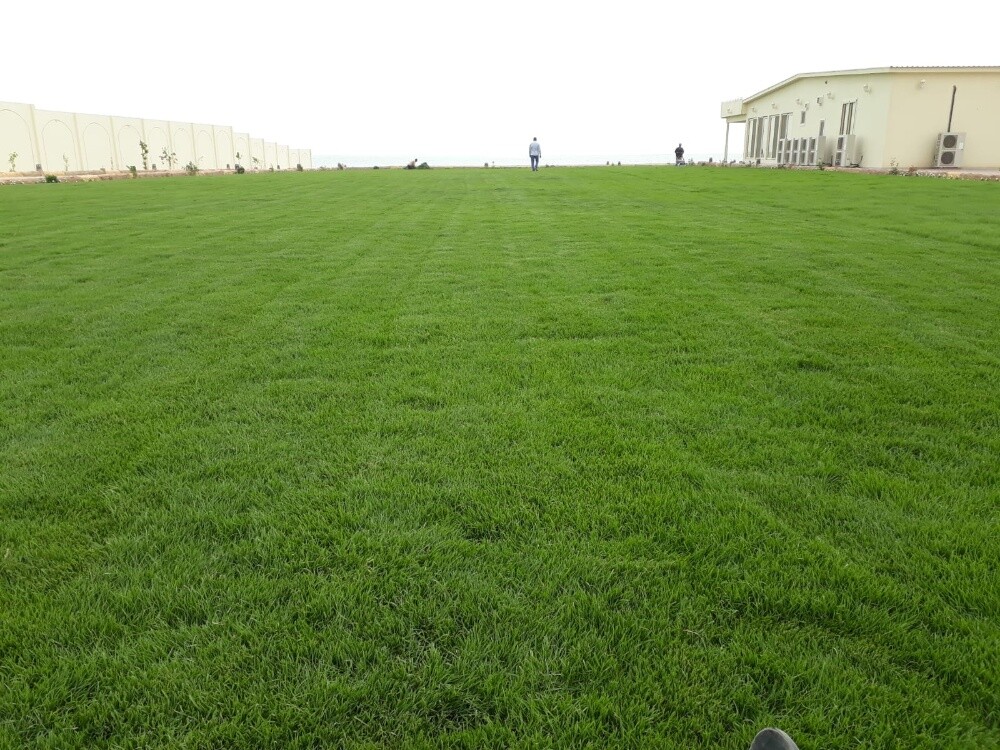 زراعه وديكور - 2