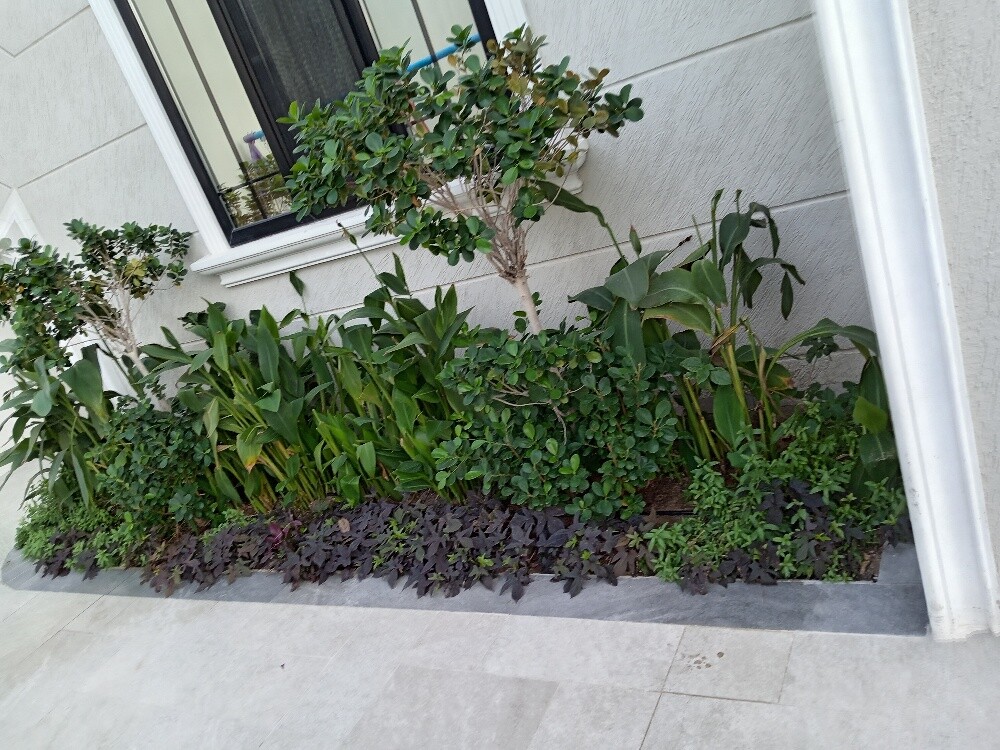 زراعه وديكور - 1