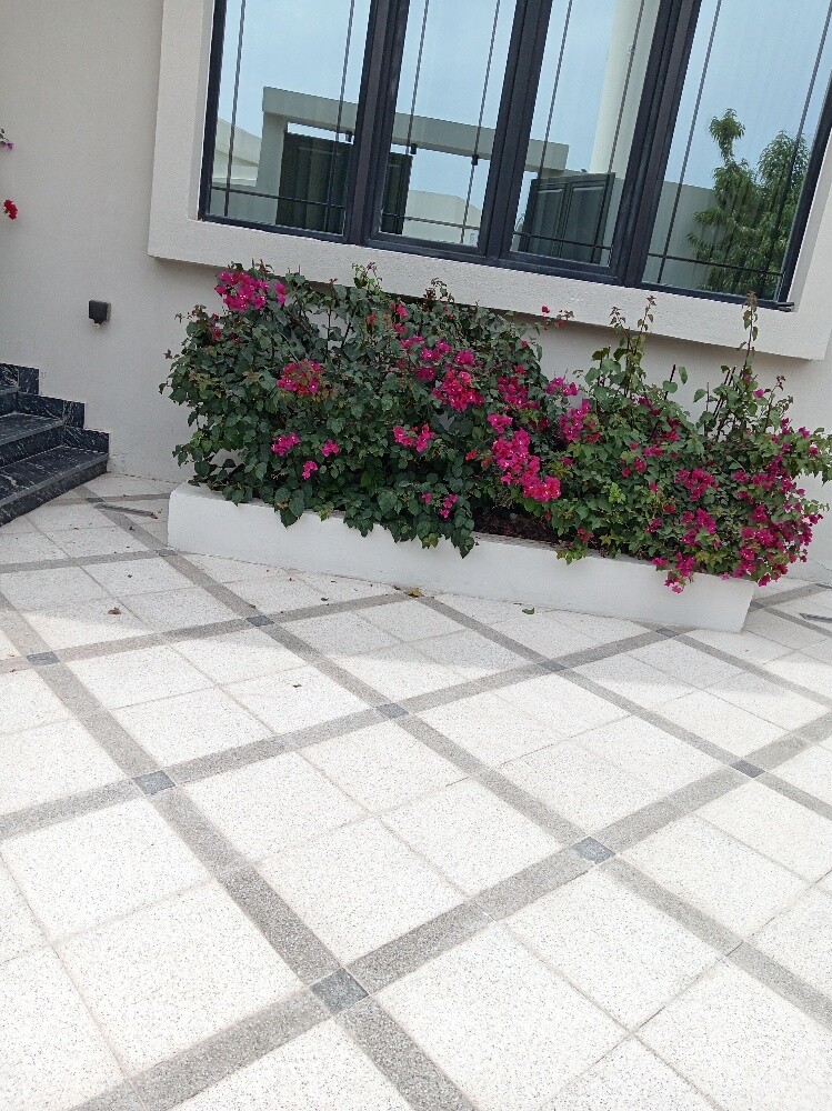 عمل زراعه - 2