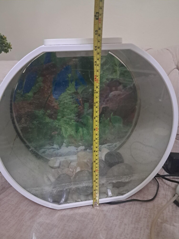 Aquarium - 11