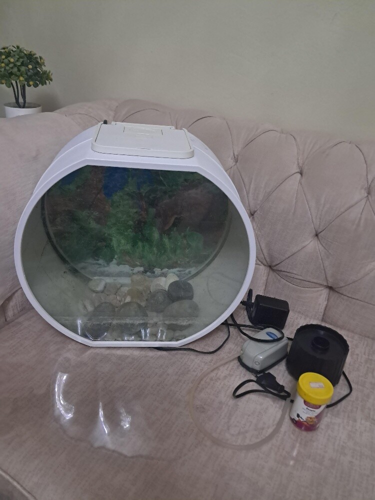 Aquarium - 9