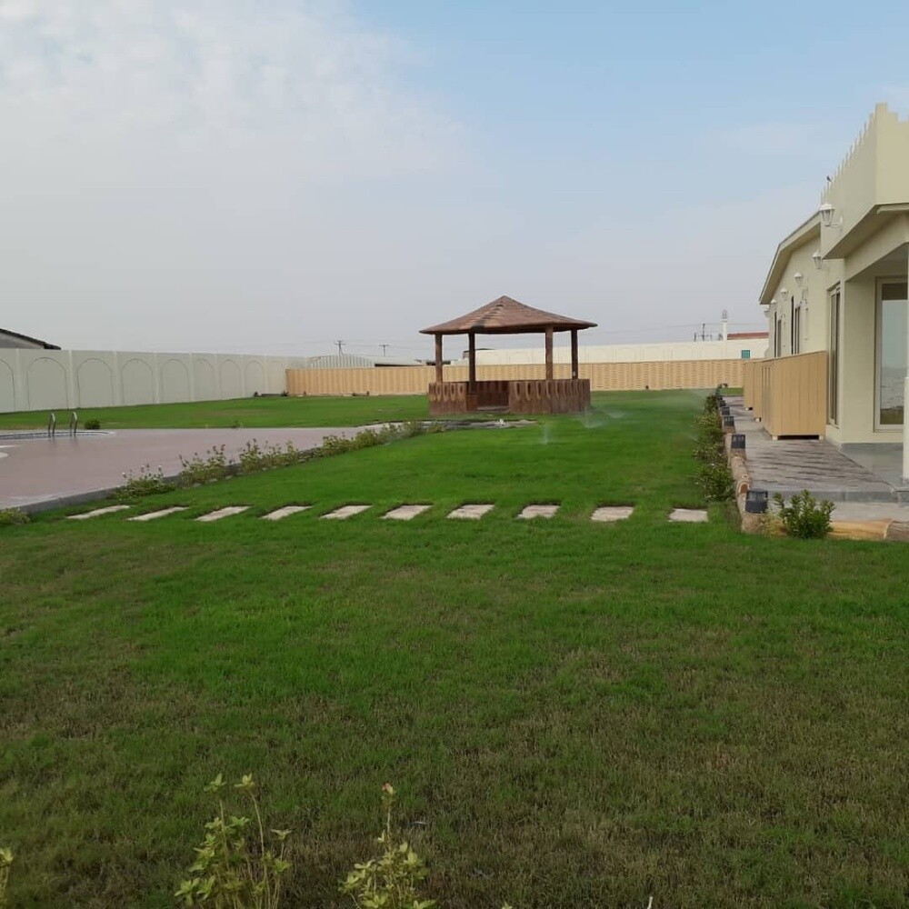 زراعه الحطب - 3