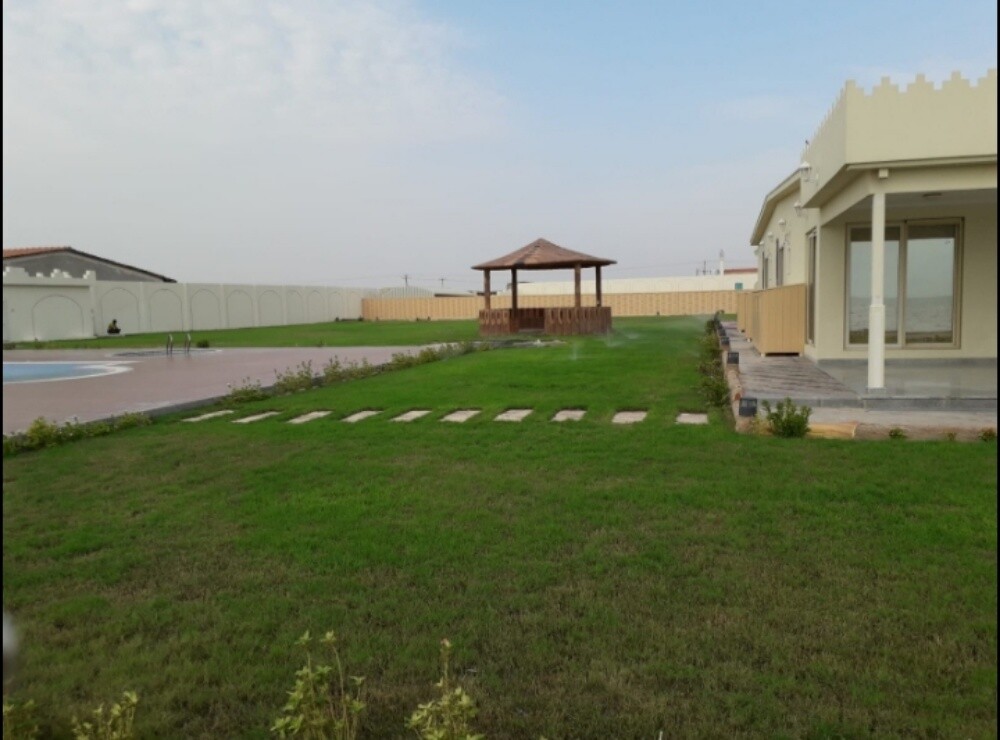 زراعه الحطب - 2