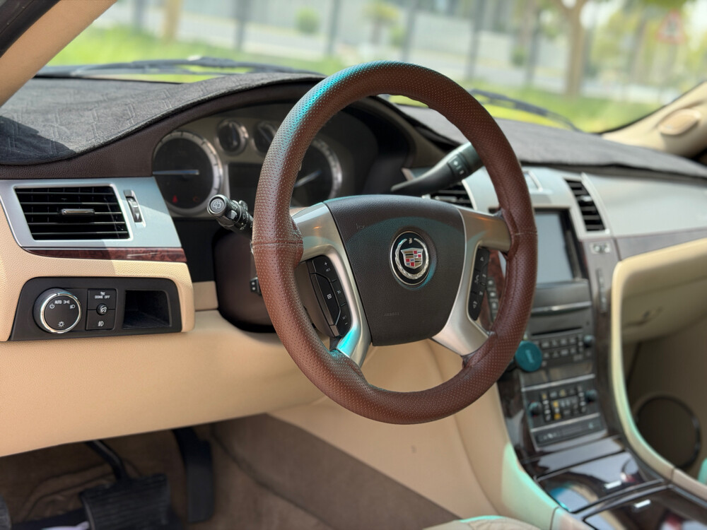 Cadillac Escape - 9