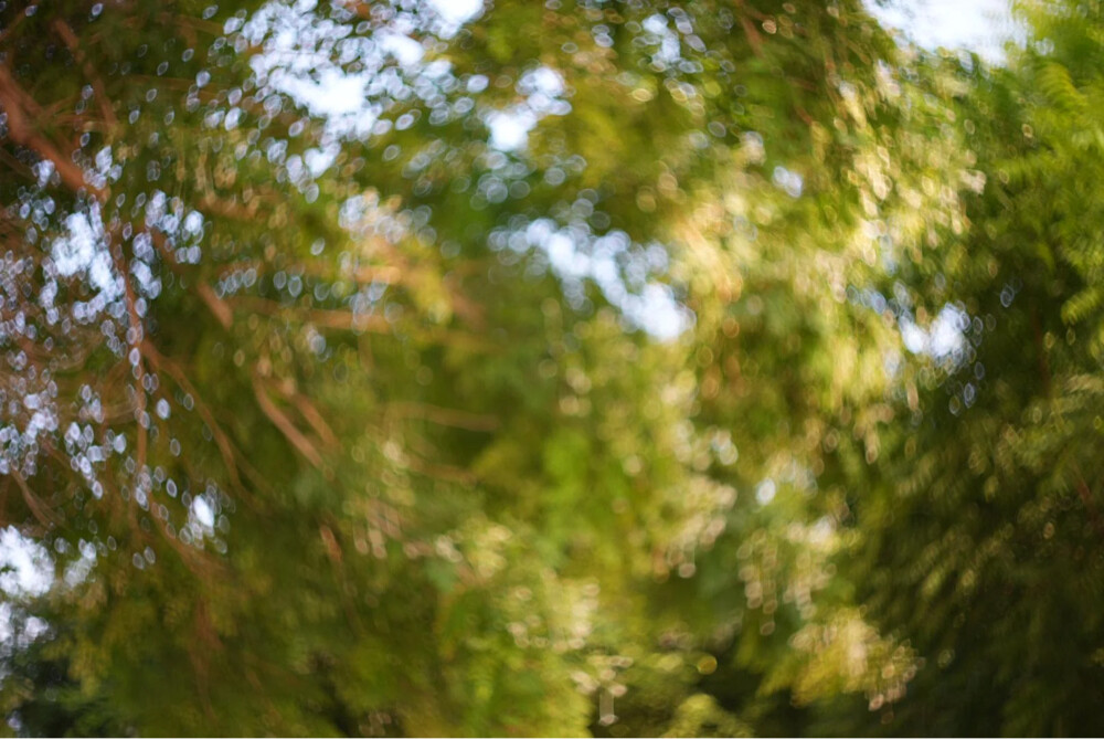 MC Helios 77M-4 50mm f/1.8 - 9
