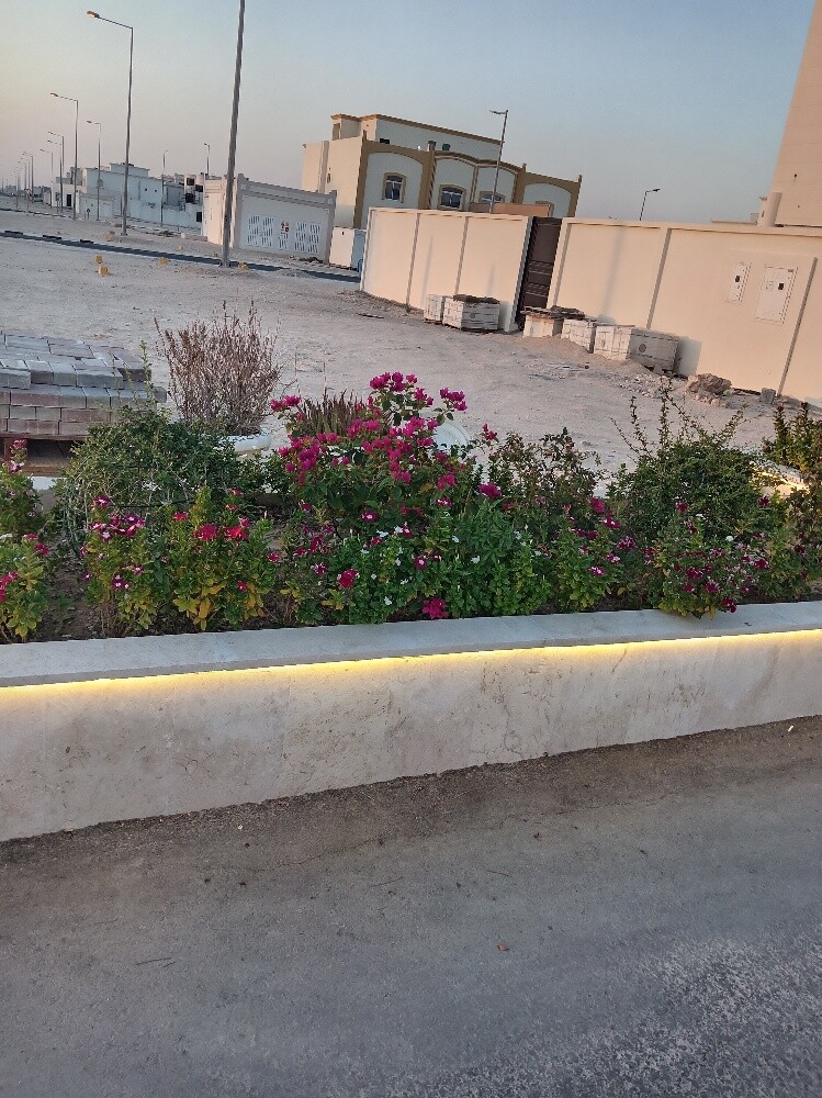 عمل دزين - 2