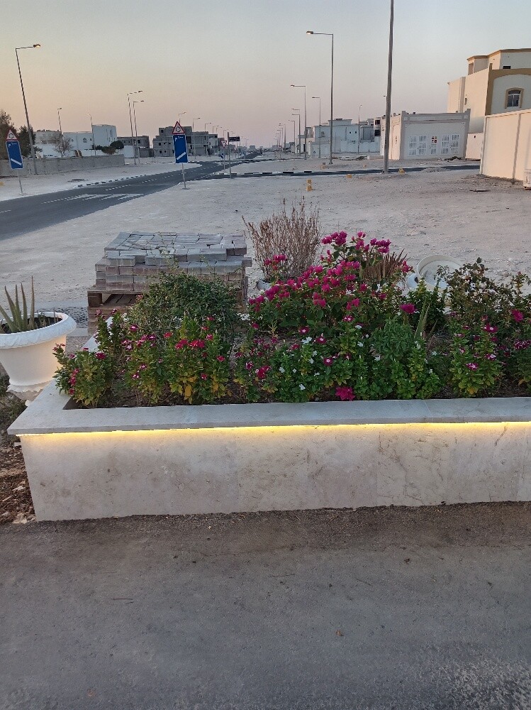 عمل دزين - 1