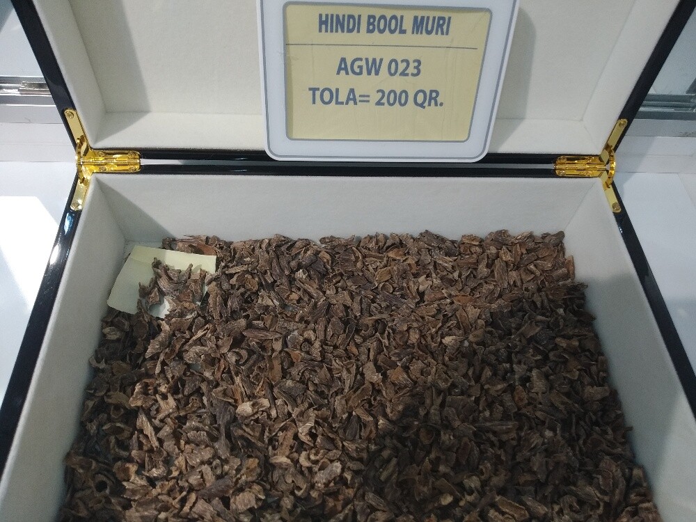 Oud Wood - 5
