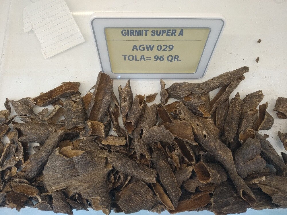 Oud Wood - 3