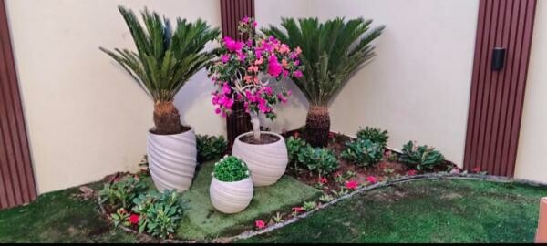 Professional Landscape Design & Env - 4