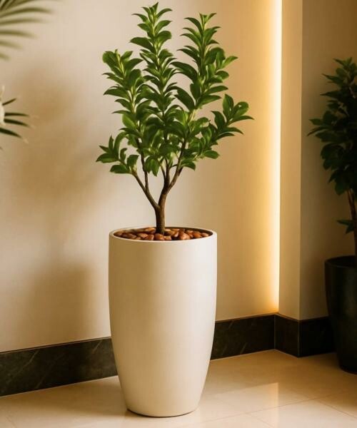 Professional Landscape Design & Env - 5