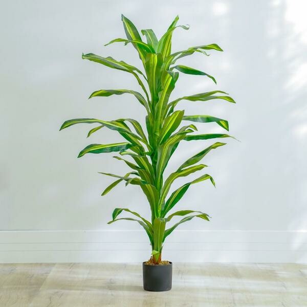Professional Landscape Design & Env - 11