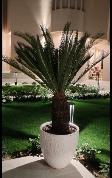 Professional Landscape Design & Env - 14