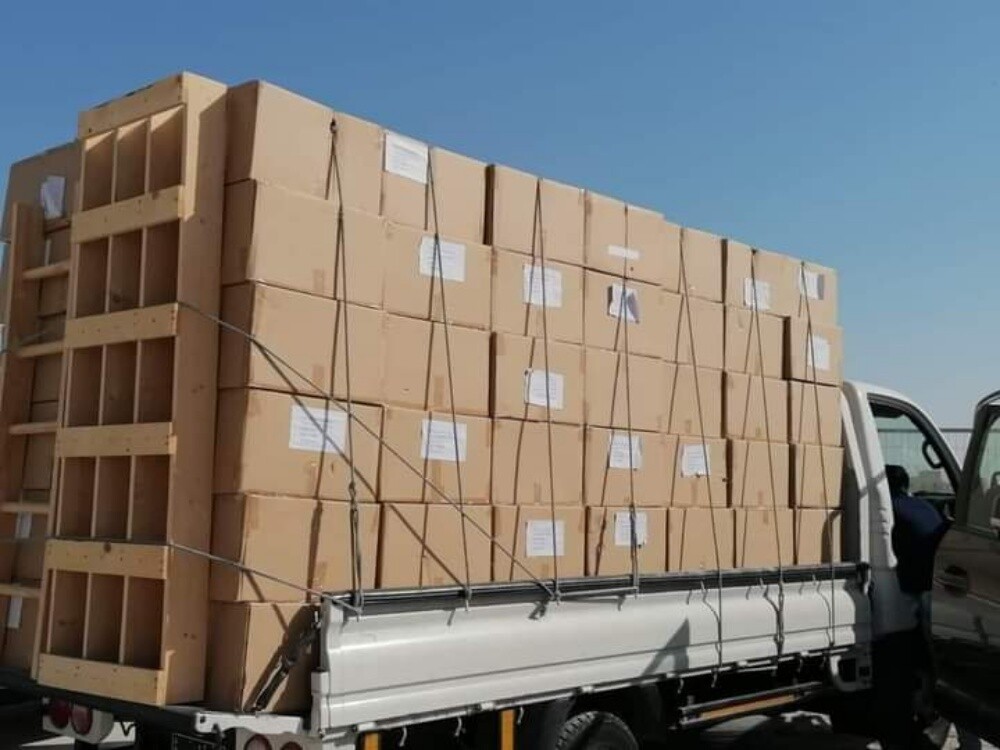 Shifting Services in Qatar - 7