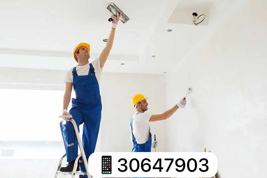 Expert Home Maintenance - 2