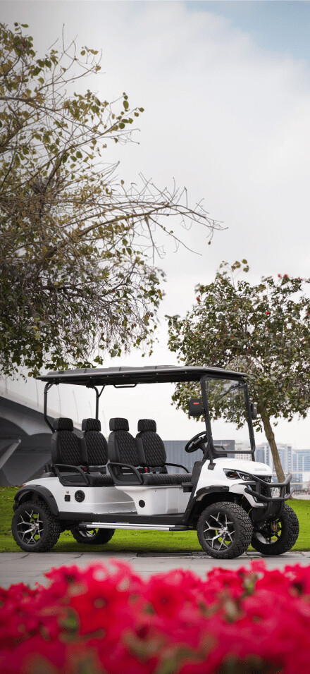Golf Carts Available  - 6