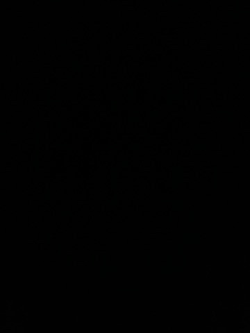 مطلوب كلب حراسه للتبني - 1