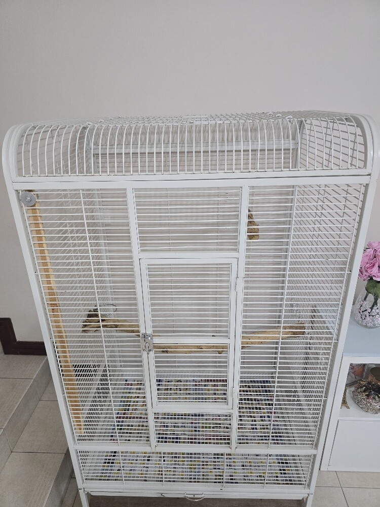 Big parrot cage - 4
