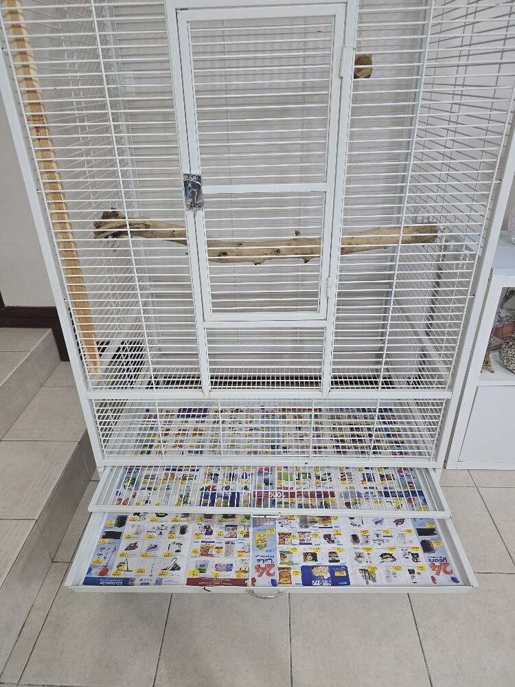 Big parrot cage - 2